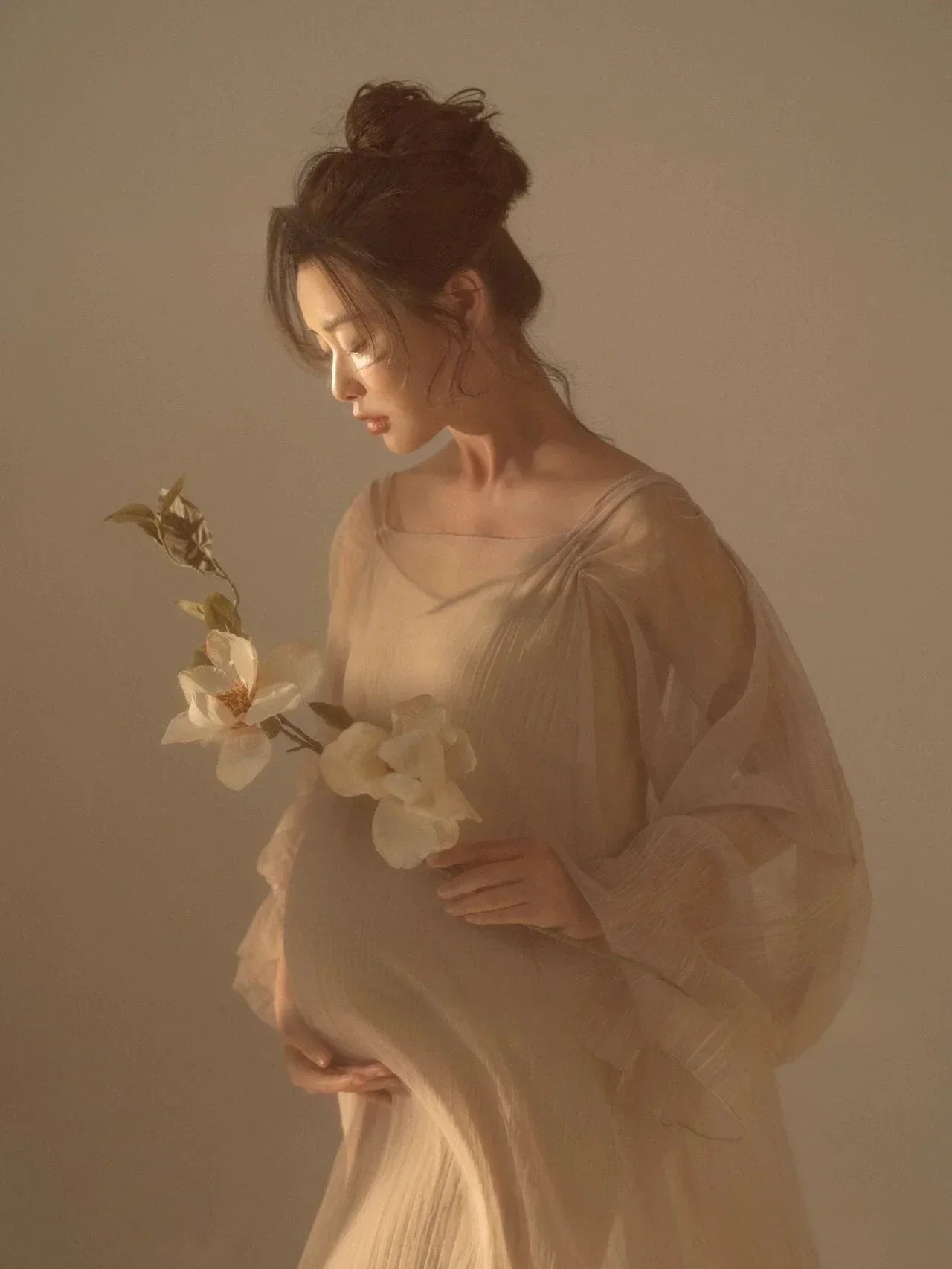 nvxiot - Women Photography Props Perspective Elegant Maternity Dresses Beige Mesh Pregnancy Dress Studio Shooting Photo Props