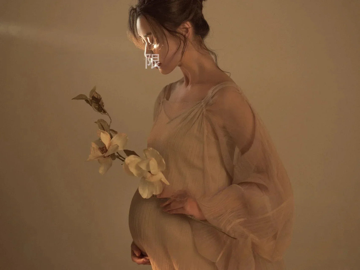 nvxiot - Women Photography Props Perspective Elegant Maternity Dresses Beige Mesh Pregnancy Dress Studio Shooting Photo Props