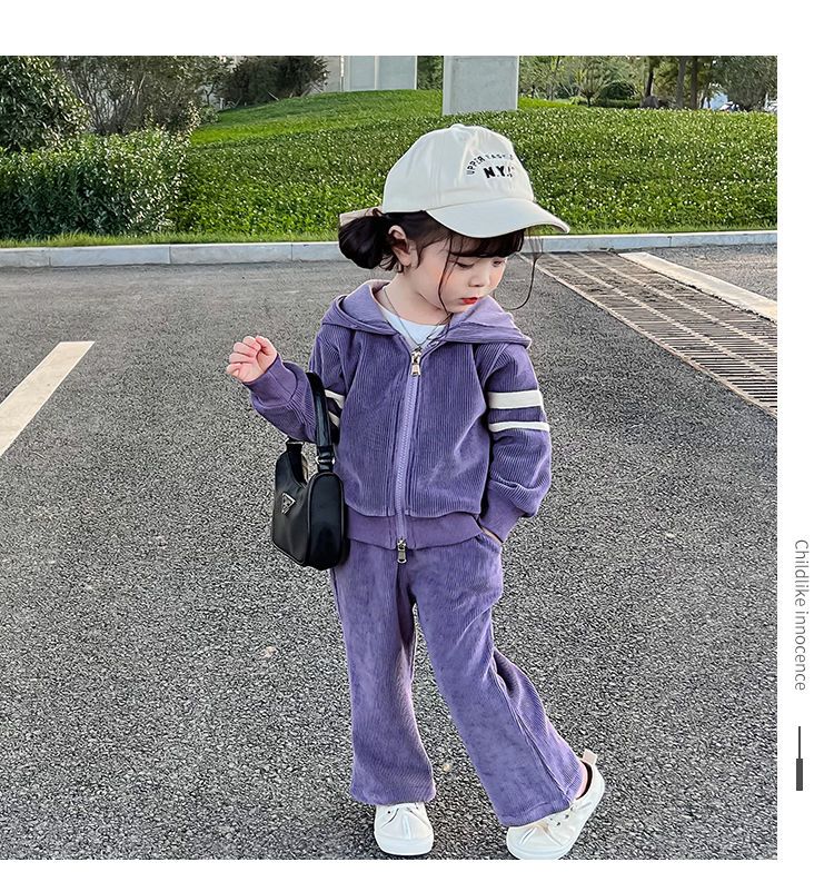 nvxiot Autumn Little Girls Children Clothing Set Two 2Pce Set Purple Hoodies Zipper Jacket +pants Baby Clothes Kids Outfits Sports Suit