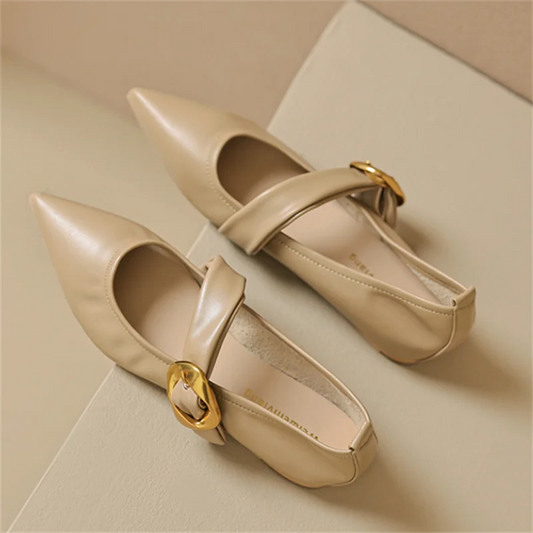 nvxiot New Women's Pointed Toe Flats Fashion Casual Soft Mary Jane Ballet Shoes for Female Buckle Strap Ladies Shallow Shoe Spring